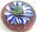 Blue White Flower -- Paperweight Glass Button