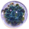 Blue Moon & Orange Glass Paperweight Buttons