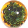 Multi-Green & Sun Yellow Glass Paperweight Buttons 