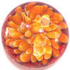 Blue Moon & Orange Glass Paperweight Buttons